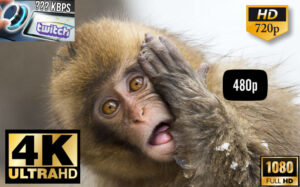 How to choose between 480p, 720p, 1080p, 4K resolution and bandwidth for video streams in your application