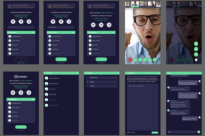 Significance of the Discovery Stage for the Project