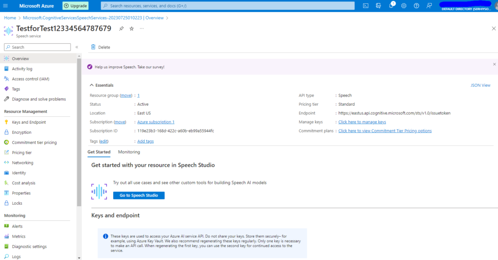 How to translate audio into text with "Speech-to-Text" by Microsoft Azure, image 8