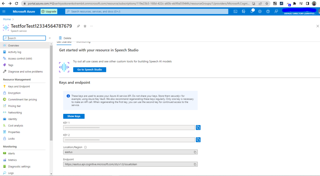 How to translate audio into text with "Speech-to-Text" by Microsoft Azure, image 9