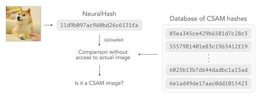 Demonstration on how NeuralHash works on device